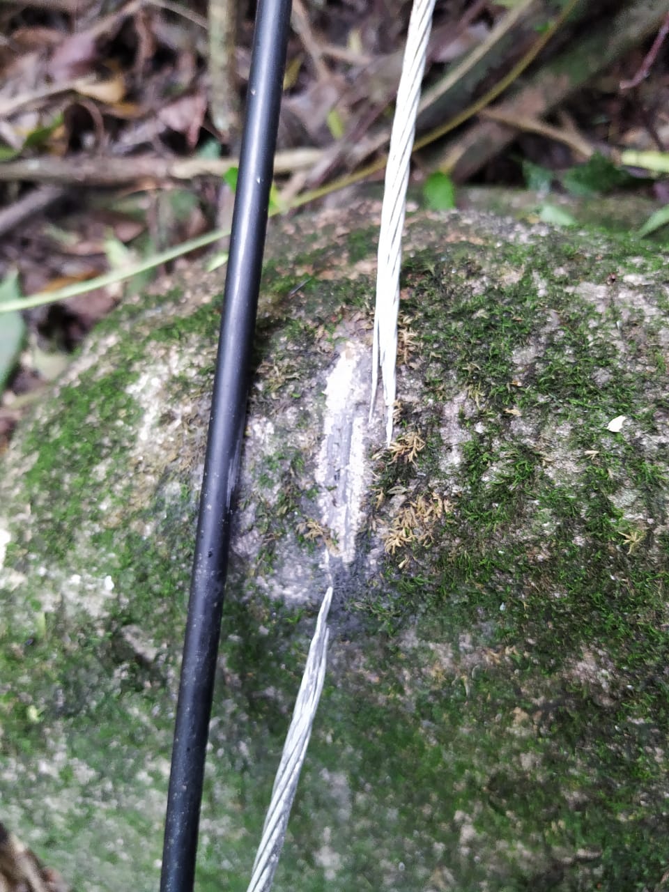 Vandalismo: Empresa têm fios cortados e clientes ficam sem internet